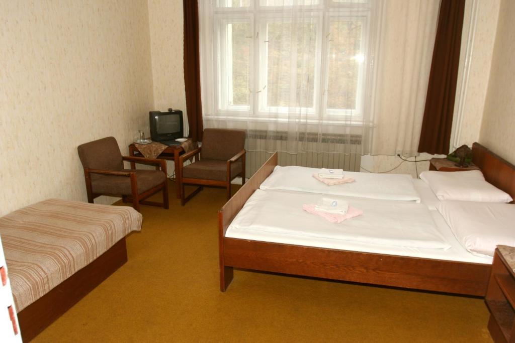 Hotel Michle 프라하 객실 사진